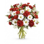 Ambiance Deluxe - Buchet garoafe si garofite rosii, gypsophila, crizanteme