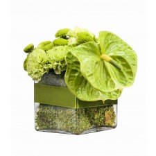 Green Gift - Aranjament din crizanteme si anthurium