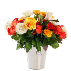Rainbow Roses - Buchet din 47 trandafiri multicolori