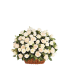 Gratie - Cos cu trandafiri albi
