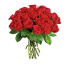 Pure velvet love Deluxe - Buchet de 23 trandafiri rosii